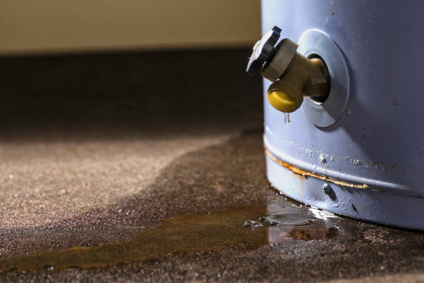 Best Carpet water damage restoration  in Linglestown, PA