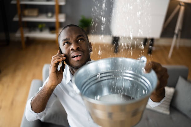 Best Fire Damage Restoration  in Linglestown, PA