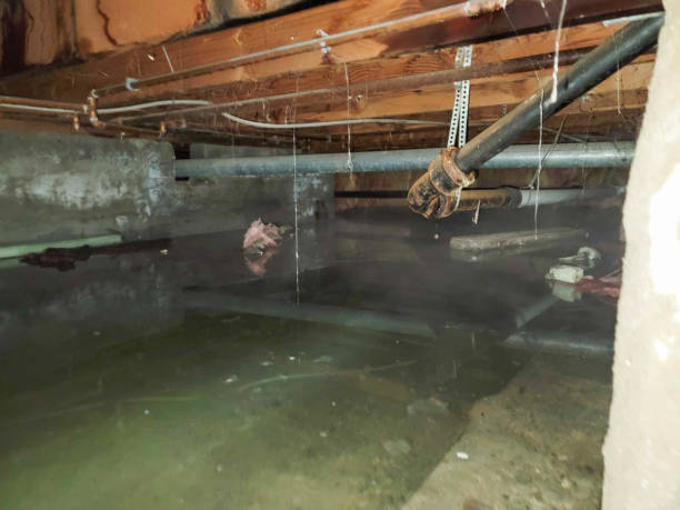 Best Water damage restoration cost  in Linglestown, PA