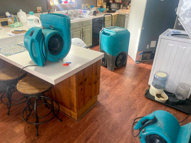 Best Basement water damage restoration  in Linglestown, PA