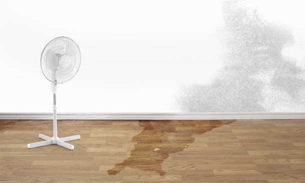 Best Commercial water damage restoration  in Linglestown, PA