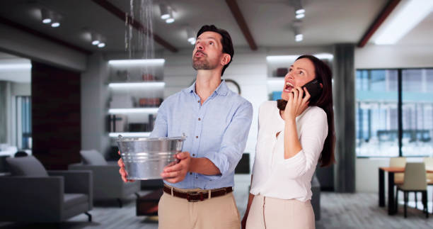 Best Water damage restoration company  in Linglestown, PA